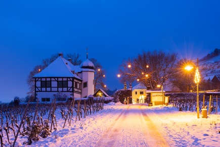 Vinařství Hoflößnitz